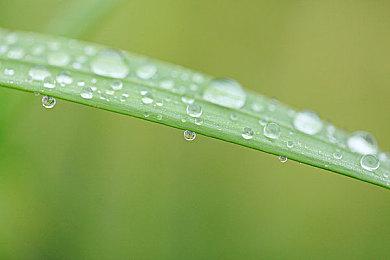 《DOTA2》亚运冠军荣归故里 大批市民热烈欢迎